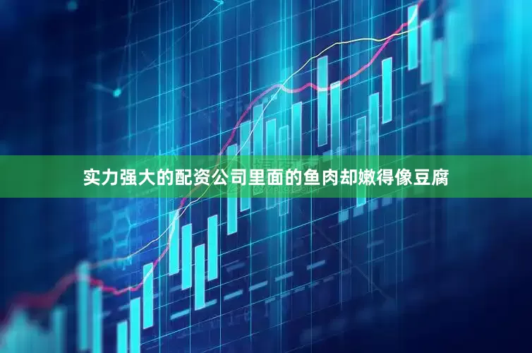 实力强大的配资公司里面的鱼肉却嫩得像豆腐