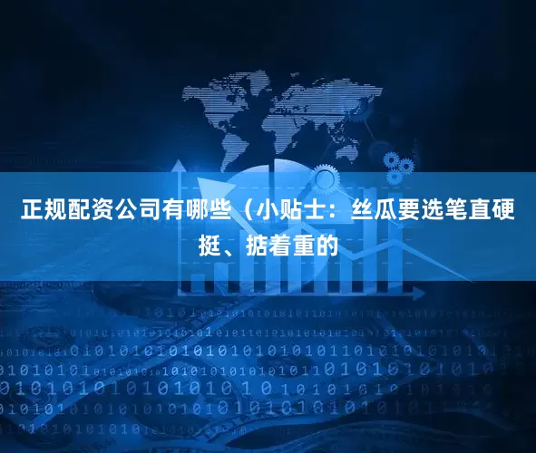 正规配资公司有哪些（小贴士：丝瓜要选笔直硬挺、掂着重的