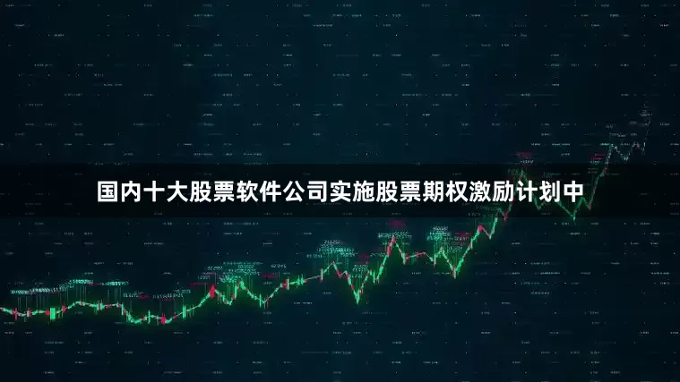 国内十大股票软件公司实施股票期权激励计划中