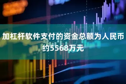 加杠杆软件支付的资金总额为人民币约5568万元